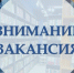 Если Вы активные, увлеченные, креативные, любите книги и чтение и желаете работать в дружной и творческой команде, добро пожаловать в Великоустюгскую библиотечную систему!. - Великоустюгский муниципальный округ