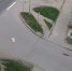 улица в Петрозаводске - Петрозаводск говорит