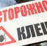 Первые случаи клещевого энцефалита и боррелиоза выявили на Вологодчине - Wobla.Ru