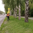 Дорожная служба Барнаула приводит в порядок участки вдоль обочин дорог - Администрация г. Барнаул