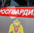 Пьяного водителя приметили и задержали в Тамбовке росгвардейцы - ИА Порт Амур