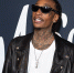 Американский рэпер Wiz Khalifa объявлен полицией Румынии в розыск из-за наркотиков - M24.Ru