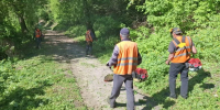 В Курске 24 человека и 3 единицы техники приводят в порядок парки и скверы - РИА Курск
