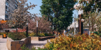 Теплая и сухая погода ожидается в Тюмени 22 мая - ГТРК Регион-Тюмень