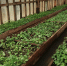 image - GazetaRB.Ru