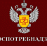 Проведение консультирования по вопросам детского отдыха, качества и безопасности детских товаров. - Холмогорский муниципальный округ