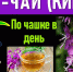 Кипрей защищает от инсультов, а матча вредит зубам - Газета Новости Кунгурского края