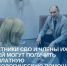 Ветераны СВО и их семьи могут получить бесплатную психологическую помощь. - Молчановский район