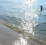 img - ЛДПР