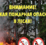 Четвертый класс пожарной опасности   введен в лесах Пензенской области - Наровчатский район