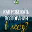 Чтобы не допустить лесной пожар - Благовещенский район