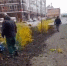 2f617529 cd8d 4a05 8bb1 520a6a0c5a74 - Город Магас