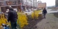 2f617529 cd8d 4a05 8bb1 520a6a0c5a74 - Город Магас