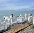 © Фото телеграм-канала Оперативного штаба Краснодарского края - Yuga.Ru