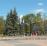 Жара уйдет из Новомосковска в конце недели - ИА Новомосковск Сегодня