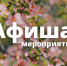 Афиша выходного дня: куда сходить в Сосновом Бору 22-24 мая - Газета Маяк