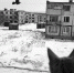 -10 - КПРФ