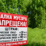 Берегите лес от пожара! На территории владимирского лесничества установили таблички-предупреждения - 6tv.Ru