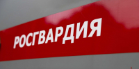 В Туле росгвардейцы помогли найти потерявшуюся трехлетнюю девочку с помощью дрона - ИА Тульская пресса.Ru