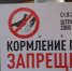 Курганцев предупредили: кормить птиц можно не везде - Новый мир