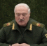 Главы государств общались по видеосвязи | Источник: Kremlin.ru - 29.Ru