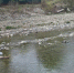 mtmkao8u0hwxsy8nfy3evwfzcxeldrl2.jpg - Primorye24.Ru