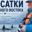 "Мать косаток" расскажет сахалинцам о четно-белых хищниках - ТИА Острова