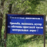 На кладбищах Оренбурга поддерживается санитарный порядок - Администрация города