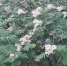 Вниз по температурной лестнице - Kirov.Online