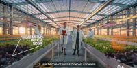 nacproekt - Зиминский район