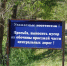 Кладбища Оренбурга приводят в порядок - Ria56.Ru