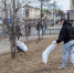 Сотрудники мэрии города Магадана и профильных ведомств муниципалитета вышли на очередной субботник - Kolyma.Ru