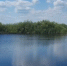 водоем Арчалинка - Карталинская новь