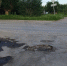«Водители попадают в опасную яму при повороте»: жители Красного Яра с нетерпением ждут ямочного ремонта - Bloknot-Volgodonsk.Ru