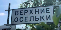 Во Всеволожском районе Ленобласти искали нелегальных мигрантов - Spbdnevnik.ru