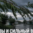 В Задонском округе ожидаются грозы и сильный ветер - Газета Задонская правда