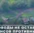 Украинские военные в ужасе от роста количества, качества и эффективности тактики русских дронов - Агентство Информационных Сообщений