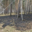 Четыре лесных пожара продолжают тушить в Иркутской области - IrkutskMedia.Ru