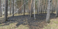 Четыре лесных пожара продолжают тушить в Иркутской области - IrkutskMedia.Ru
