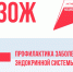 В Котовске по нацпроекту «Продолжительная и активная жизнь» проходит неделя профилактики заболеваний эндокринной системы - ИА ПроКотовск