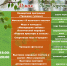 🕊️ Троица по-фроловски — 31 мая в Парке Заречный! - Город Фролово