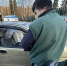 JPG Файл - УМВД Тюменской области