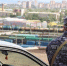 В Краснокаменске сотрудники Росгвардии задержали гражданина, находившегося в розыске за неуплату алиментов - Росгвардия