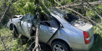 Пассажир Nissan Primera умер в реанимации после ДТП с деревом в Воронежской области - Обозреватель.Врн