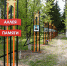 Памяти павшие – достойны! - Газета Кузоватовские вести