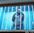 Дело против сына главного полицейского Заинска выросло на 3 млн рублей - Реальное время