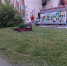Покос травы на территории микрорайона. - ТОС Омска
