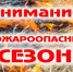Соблюдение правил пожарной безопасности в летний период. - Комаричский район