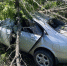 В Воронежской области Nissan вылетел в кювет и врезался в дерево: в больнице скончался пассажир - РИА Воронеж
