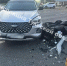 Водитель Chery Tiggo сбил мотоциклиста на трассе М-2 в Щекинском районе - ИА Тульская служба новостей